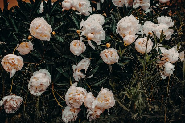 Transformations Énergétiques : Optimisations Durables pour l'Immobilier Rural