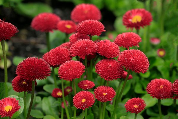 Les avantages du diagnostic plomb pour les habitations à montauban