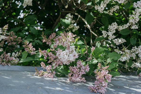 Table bar cuisine : transformer votre espace en un lieu convivial