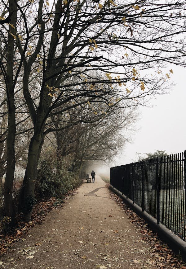Portillons grillagés ou barreaudés : le choix parfait pour votre sécurité